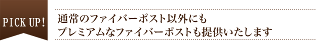 PICK UP　通常のファイバーポスト以外にもプレミアムなファイバーポストも提供いたします